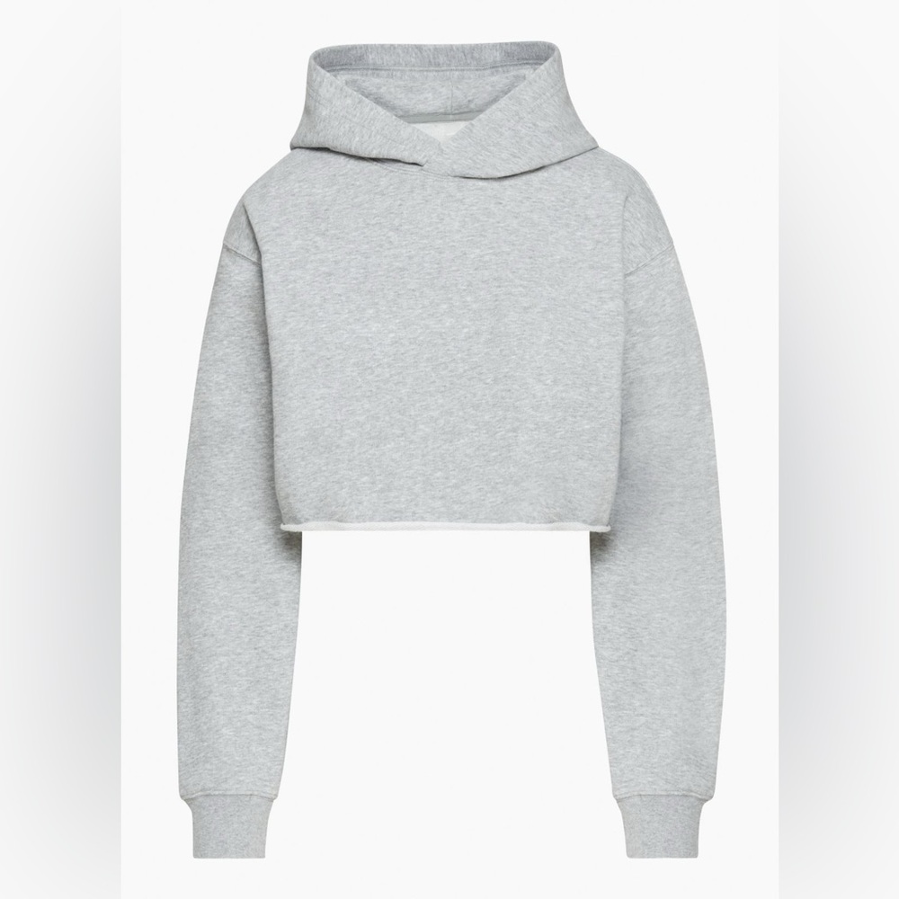 Aritzia BRAND NEW cropped grey hoodie